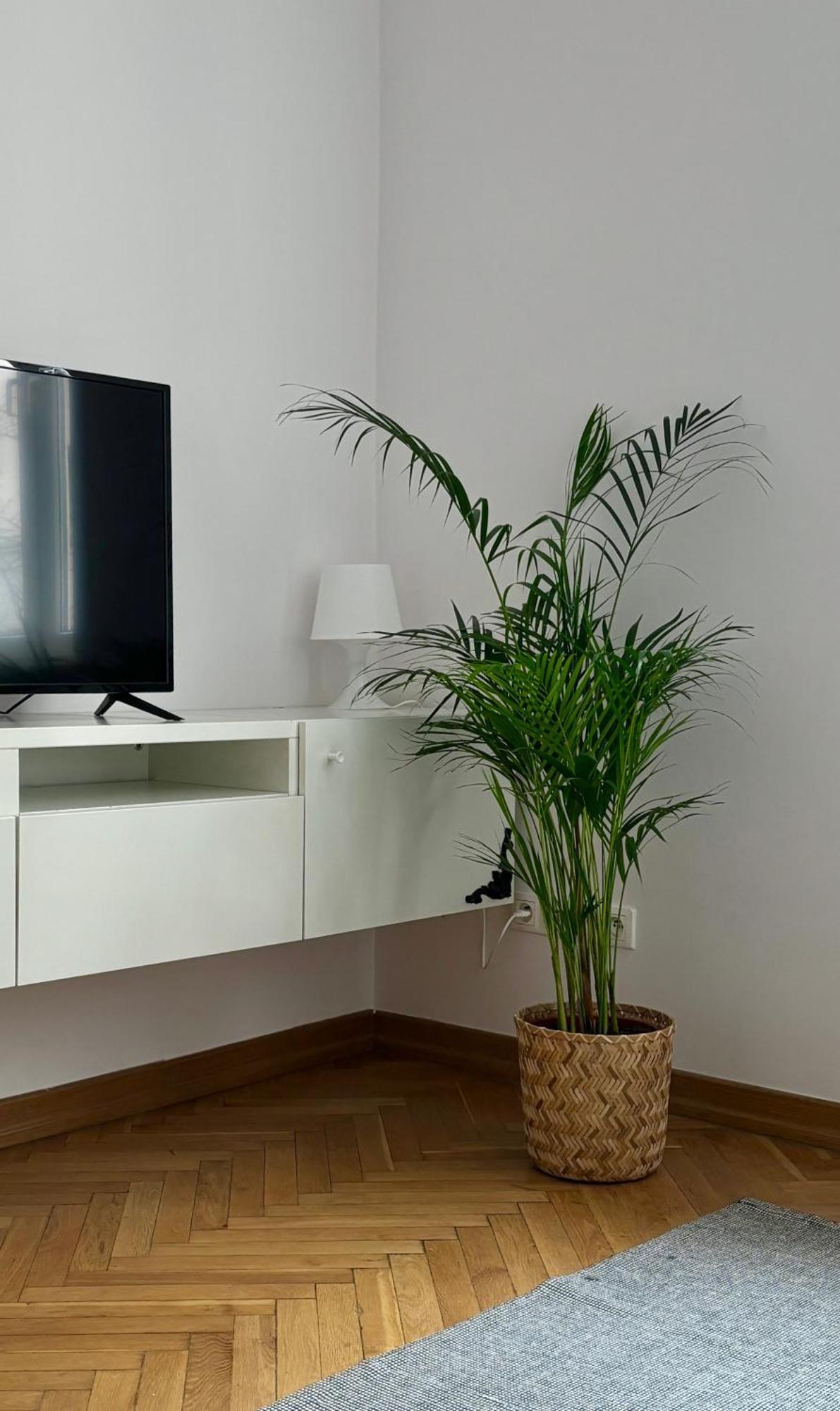 Apartament K3 Βαρσοβία Εξωτερικό φωτογραφία
